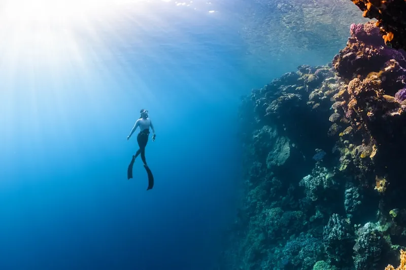 Red Sea Secrets